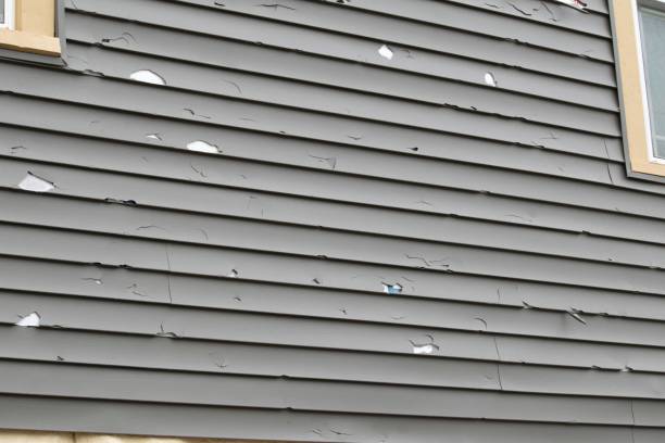 Best Wood Siding Installation  in Montebello, CA