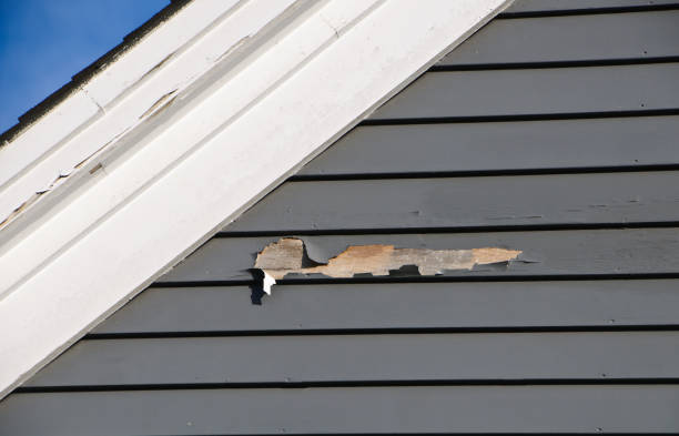 Best Siding for New Construction  in Montebello, CA